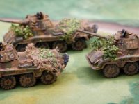 fow germans  (4 of 15)